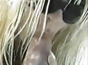فحص طبيب الإسعاف حالة المريض الشرجية فيديوهات سكسيه عراقيه